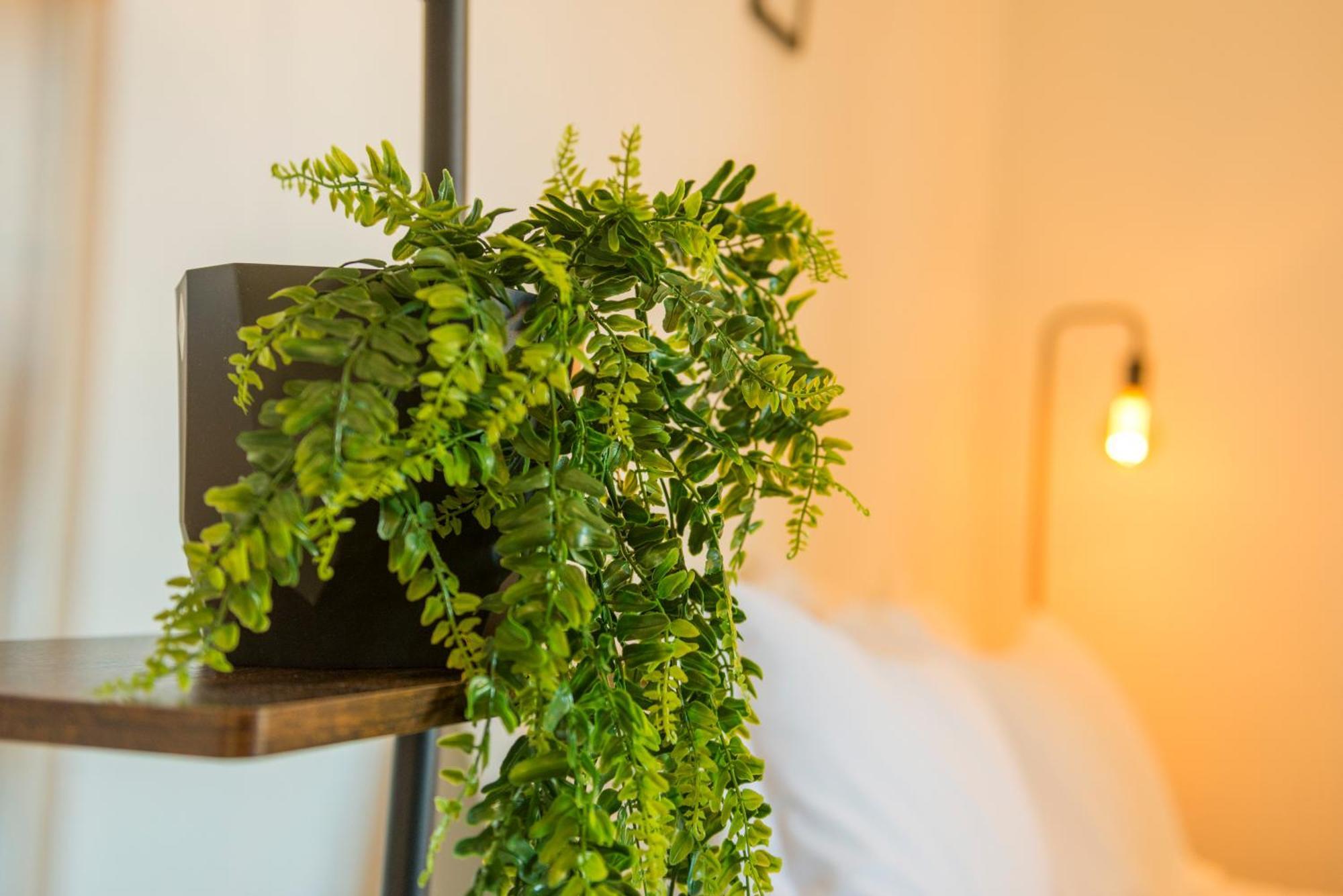 Studio In Trastevere Village Roma Ngoại thất bức ảnh